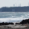 Nhà máy điện hạt nhân Daiichi ở Namie, tỉnh Fukushima ngày 11/2. (Nguồn: AFP/TTXVN)
