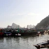 Tàu thuyền neo đậu tại cảng Cái Rồng, Quảng Ninh. (Ảnh minh họa: Văn Đức/TTXVN)