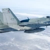 Chiến đấu cơ CF-18. (Nguồn: cbc.ca)