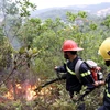 Lực lượng phòng cháy chữa cháy đang dập lửa trên đỉnh đồi vào lúc 15 giờ chiều ngày 6/12. (Ảnh: Trung Nguyên/TTXVN)