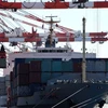 Hoạt động vận chuyển hàng hóa tại cảng Tokyo. (Nguồn: AFP/TTXVN)
