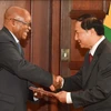 Đại sứ Việt Nam tại Cộng hòa Nam Phi Vũ Văn Dũng trình quốc thư lên Ngài Tổng thống Nam Phi Jacob Zuma. (Ảnh: Dư Hưng/Vietnam+)