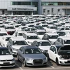 Ôtô của Hãng Volkswagen tại trung tâm kiểm duyệt của Audi Volkswagen Korea ở Pyeongtaek, cách thủ đô Seoul 70km về phía nam. (Nguồn: EPA/TTXVN)
