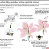 [Infographics] Máy bay không người lái có thể thay thế loài ong