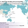 [Infographics] Việt Nam - thành viên chủ động, tích cực trong APEC