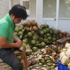 Công nhân Công ty TNHH XNK trái cây Mekong sơ chế dừa xuất khẩu. (Ảnh: Phạm Văn Trí/TTXVN)