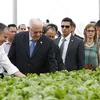 Tổng thống Israel Reuven Rivlin và Phu nhân đã tới thăm Dự án đầu tư Nông nghiệp ứng dụng công nghệ cao VinEco Tam Đảo. (Ảnh: Nguyễn Thảo/TTXVN)