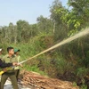 Diễn tập chữa cháy Vườn quốc gia U Minh Hạ (Cà Mau). (Ảnh: Tràng Dương/TTXVN)