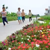 Trẻ em xã Hải Đông, huyện Hải Hậu, Nam Định vui chơi trên con đường làng xanh - sạch - đẹp. (Ảnh: Công Luật/TTXVN)