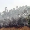 Khu rừng bị cháy ở phường Bãi Cháy, thành phố Hạ Long. (Ảnh: Văn Đức/Vietnam+)