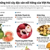 [Infographics] Những trái cây đặc sản nổi tiếng của Việt Nam