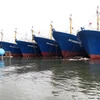 Các tàu vỏ thép được đóng mới bàn giao cho ngư dân đang neo đậu tại cảng Tam Quan, Hoài Nhơn, Bình Định. (Ảnh: Viết Ý/TTXVN)