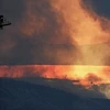 Máy bay của Không lực Croatia dập các đám cháy rừng tại Gornje Sitno, gần thị trấn Split, bờ biển Adriatic, Croatia ngày 17/7. (Nguồn: AFP/TTXVN)