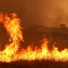 Khói lửa bốc ngùn ngụt trong vụ cháy rừng ở Mariposa, California (Mỹ) ngày 19/7. (Nguồn: AFP/TTXVN)