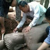 Pho tượng cổ được tìm thấy. (Nguồn: sg.news.yahoo.com)
