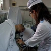 Nhân viên y tế Bệnh viện 115 Nghệ An chăm sóc một nạn nhân bị tai nạn. (Ảnh: Bích Huệ/TTXVN)