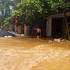 Nhiều tuyến đường ở thị trấn Sơn Dương, huyện Sơn Dương bị ngậm lụt cục bộ. (Ảnh: Văn Tý/TTXVN)