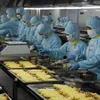 Chiên tôm tempura trong nhà máy Seavina. (Ảnh: Thanh Liêm/TTXVN)