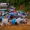 Hàng trăm người dân và phương tiện tắc nghẽn vì điểm sạt lở. (Ảnh: Xuân Tư/TTXVN)