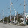 Sửa chữa mạng lưới điện bị phá hủy sau bão Irma ở Marathon, Florida, Mỹ ngày 12/9. (Nguồn: AFP/TTXVN)