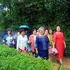Đoàn cựu giáo viên kiểu bào Thái Lan tham quan Làng Sen. (Ảnh: Bích Huệ/TTXVN)