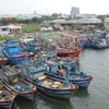 Các phương tiện tàu, thuyền di chuyển về nơi neo đậu an toàn tại âu thuyền Thọ Quang. (Ảnh: Đinh Văn Nhiều/TTXVN)