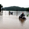 Tỉnh lộ 650 qua địa bàn xã An Định (huyện Tuy An) bị ngập sâu trong nước. (Ảnh: Thế Lập/TTXVN)