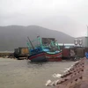 Một tàu cá của ngư dân Bình Định bị sóng đánh va kẹt vào kè đá tại Cảng cá Quy Nhơn. (Ảnh: Phạm Kha/TTXVN)