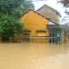 Nhiều ngôi nhà của người dân huyện Hòa Vang, Đà Nẵng, bị ngập lụt. (Ảnh: Đinh Văn Nhiều/TTXVN)