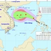 Đường đi của cơn bão. (Nguồn: nchmf.gov.vn)