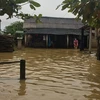 Nhà dân ở xã Quảng Thọ bị ngập lụt. (Ảnh: Hồ Cầu/TTXVN)
