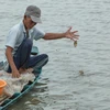 [Photo] Lênh đênh bắt cá trên cánh đồng Hậu Giang mùa nước nổi