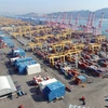 Cảng hàng hóa của tập đoàn vận tải Hanjin ở thành phố Busan, Hàn Quốc ngày 3/2. (Nguồn: AFP/TTXVN)