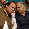 Ông Nawaz Sharif (trái) lúc còn là Thủ tướng và ông Shahbaz Sharif (phải) tại một sự kiện ở Lahore ngày 20/5/2013. (Nguồn: EPA/TTXVN)