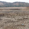 Lòng hồ chứa nước Ông Kinh ở huyện Ninh Hải khô trơ đáy, nứt nẻ. (Ảnh: Công Thử/TTXVN)