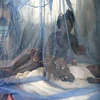 Mắc màn chống muỗi phòng bệnh sốt rét gần Abidjan, Cote d'Ivoire. (Nguồn: EPA/TTXVN)