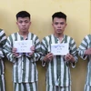 Các đối tượng trong băng nhóm bị công an bắt giữ để điều tra. (Ảnh: Nguyễn Văn Việt/TTXVN)