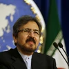 Người phát ngôn của Bộ Ngoại giao Iran, ông Bahram Qasemi. (Nguồn: THX/TTXVN)