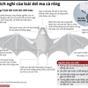[Infographics] Sự thích nghi của loài dơi ma cà rồng hút máu