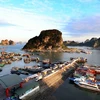 Một góc cảng Cái Rồng, Vân Đồn, Quảng Ninh. (Ảnh: Quang Quyết/TTXVN)