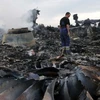 Hiện trường vụ máy bay MH17. (Nguồn: Reuters) 