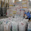 Chế biến gạo xuất khẩu tại Xí nghiệp Chế biến lương thực cao cấp Tân Túc (huyện Bình Chánh, TP.HCM). (Ảnh: Đình Huệ/TTXVN)