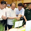 Thủ tướng Nguyễn Xuân Phúc xem các sản phẩm nông nghiệp tiên tiến, chất lượng cao. (Ảnh: Thống Nhất/TTXVN)