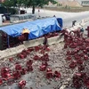 Hàng trăm két bia đã bị đổ vỡ trên tuyến Quốc lộ 1A. (Ảnh: Trịnh Duy Hưng/TTXVN)