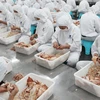 Chế biến hải sản xuất khẩu tại nhà máy ở thành phố Liên Vận Cảng, tỉnh Giang Tô, Trung Quốc ngày 5/7. (Nguồn: AFP/ TTXVN)