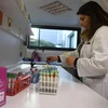 Xét nghiệm các mẫu máu tại phòng thí nghiệm ở Rennes, miền tây Pháp ngày 5/1/2017. (Ảnh minh họa: AFP/TTXVN)