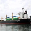 Tàu vận chuyển sản phẩm mang thương hiệu Made in Vietnam đã rời tại cảng Doosan Vina, Quảng Ngãi. (Ảnh: Sỹ Thắng/TTXVN)