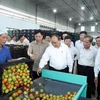 Thủ tướng Nguyễn Xuân Phúc thăm Công ty TNHH Sản xuất - Thương mại nông sản Phong Thúy. (Ảnh: Thống Nhất/TTXVN)