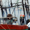 Các lực lượng chức năng tích cực dập lửa từ khu vực cabin tàu cá NA-95959 TS. (Ảnh: Tá Chuyên/TTXVN)