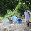Cán bộ thú y phun khử trùng cho nhà dân khu vực xung quanh ổ dịch cúm A/H5N6 tại xã An Hồng, An Dương, Hải Phòng. (Ảnh: TTXVN)